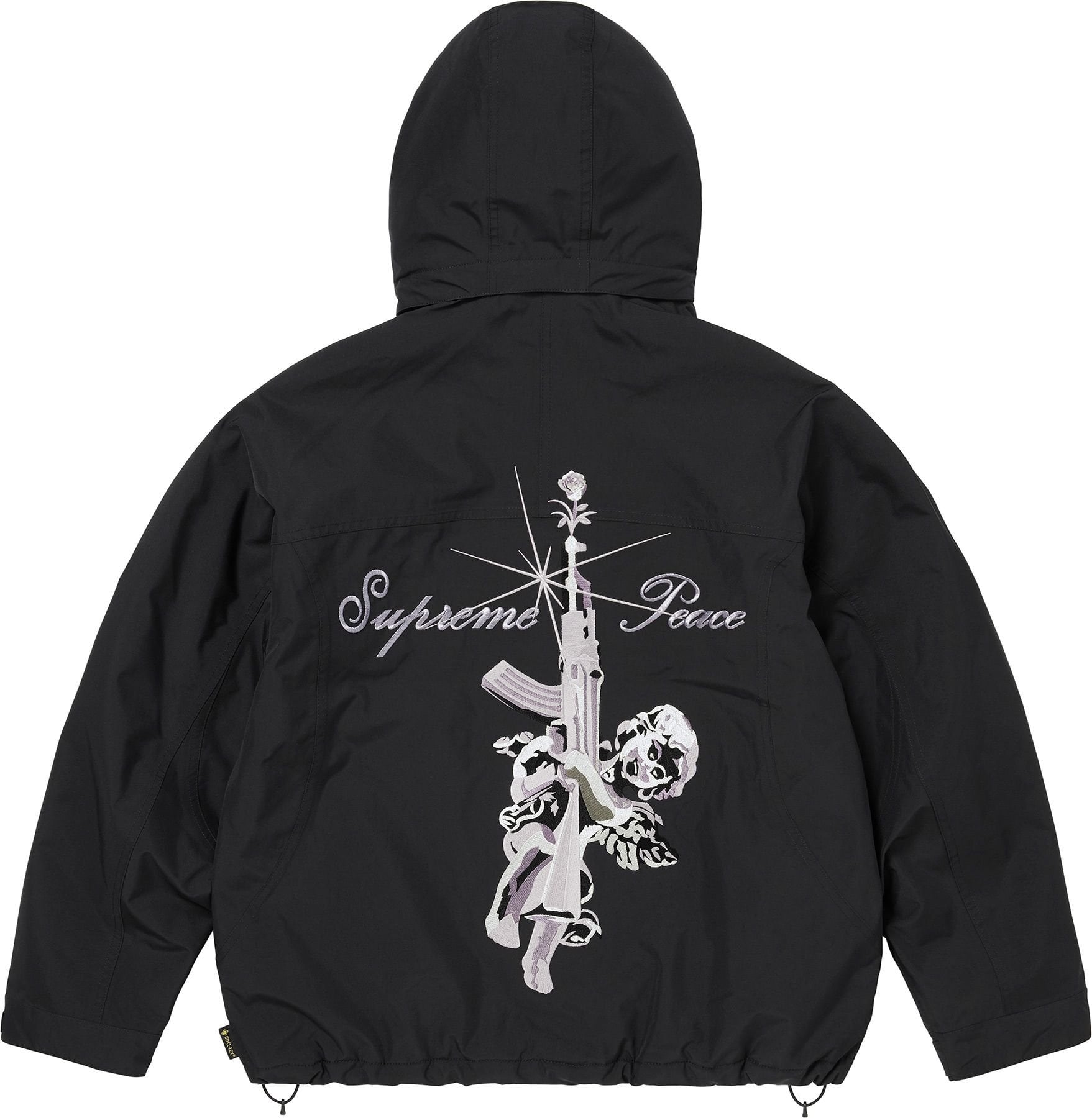 AOI GORE-TEX Hooded Jacket view 4